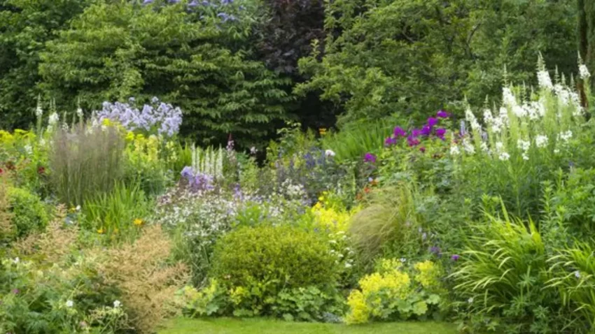 14 Beautiful Shrubs for Shade that Will Brighten Up Your Yard
