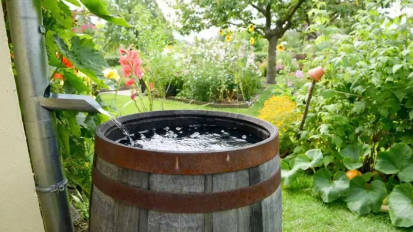 The Best Rain Barrels to Harvest Rainwater at Home